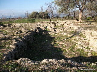 Metapiccola